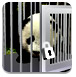 帮助熊猫逃出笼子