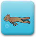 小猫潜水抓鱼